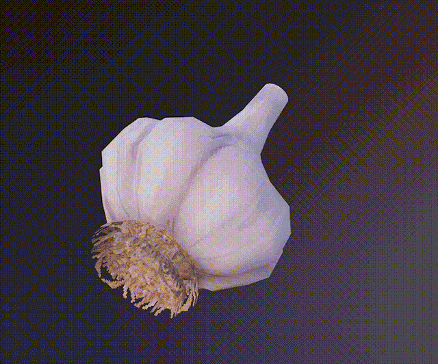 garlic