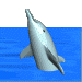 domo